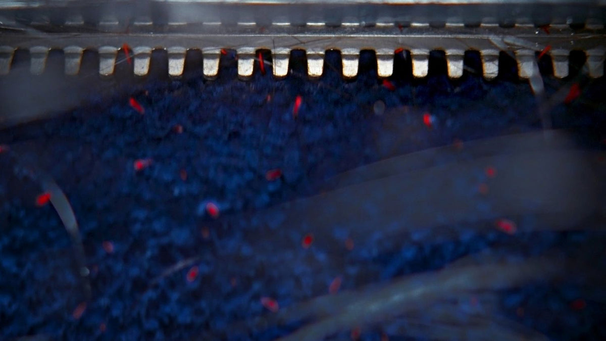 Close-up of the Dyson Clean+Wash Hygiene anti-tangle comb
